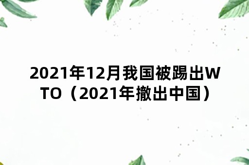 2021年12月我国被踢出WTO（2021年撤出中国）