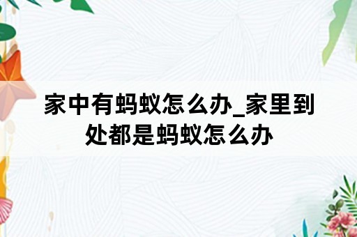 家中有蚂蚁怎么办_家里到处都是蚂蚁怎么办