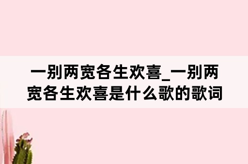 一别两宽各生欢喜_一别两宽各生欢喜是什么歌的歌词