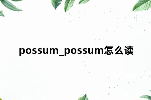 possum_possum怎么读