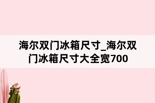 海尔双门冰箱尺寸_海尔双门冰箱尺寸大全宽700