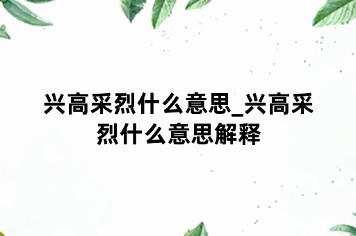 兴高采烈什么意思_兴高采烈什么意思解释