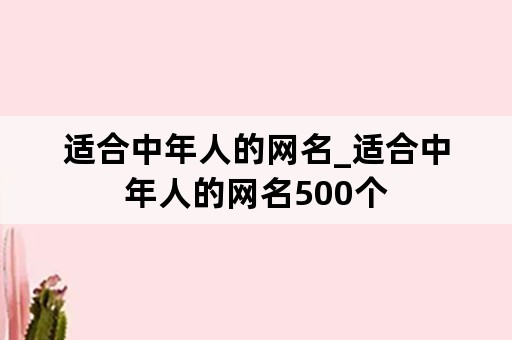 适合中年人的网名_适合中年人的网名500个