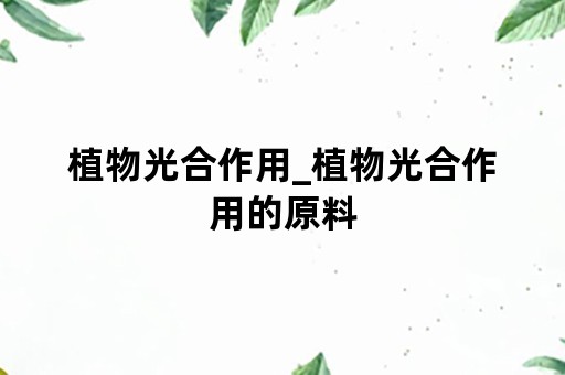 植物光合作用_植物光合作用的原料