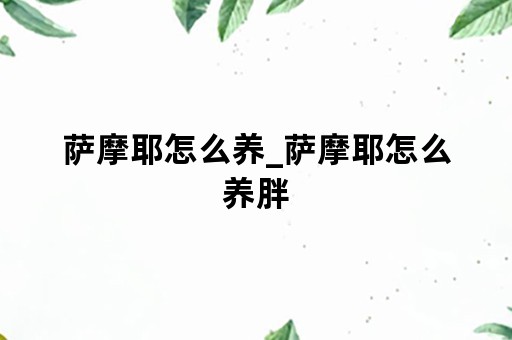 萨摩耶怎么养_萨摩耶怎么养胖