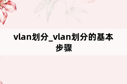 vlan划分_vlan划分的基本步骤