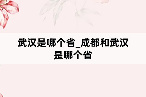 武汉是哪个省_成都和武汉是哪个省