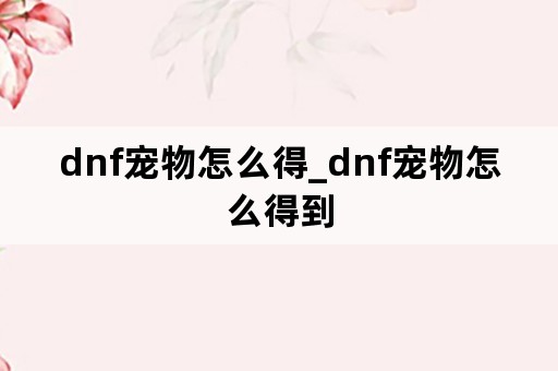 dnf宠物怎么得_dnf宠物怎么得到