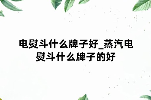 电熨斗什么牌子好_蒸汽电熨斗什么牌子的好