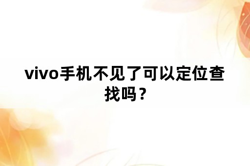 vivo手机不见了可以定位查找吗？