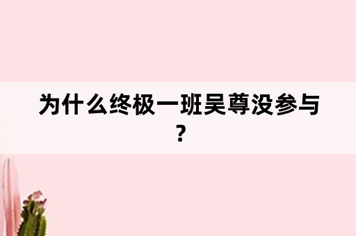 为什么终极一班吴尊没参与？