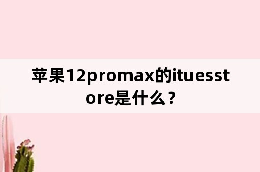 苹果12promax的ituesstore是什么？