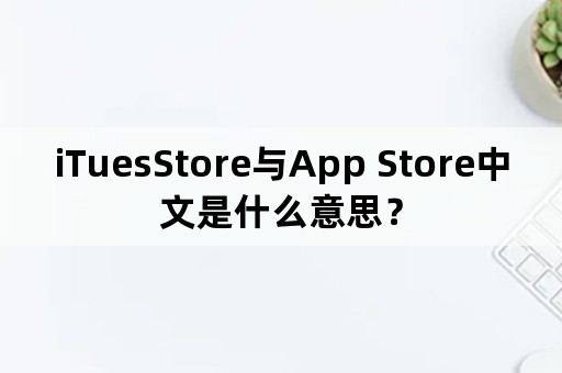 iTuesStore与App Store中文是什么意思？