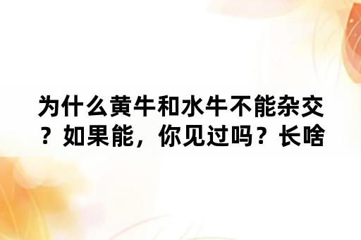 为什么黄牛和水牛不能杂交？如果能，你见过吗？长啥样？