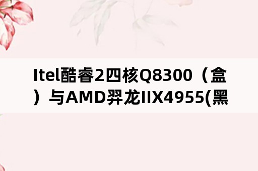 Itel酷睿2四核Q8300（盒）与AMD羿龙IIX4955(黑盒)哪个好？