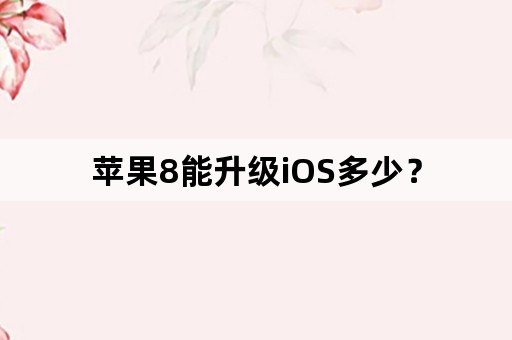 苹果8能升级iOS多少？