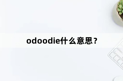 odoodie什么意思？