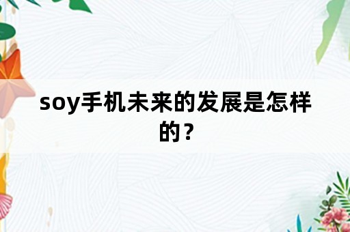 soy手机未来的发展是怎样的？