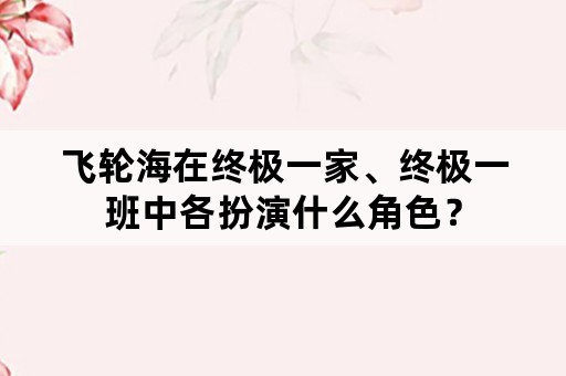 飞轮海在终极一家、终极一班中各扮演什么角色？