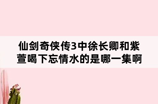 仙剑奇侠传3中徐长卿和紫萱喝下忘情水的是哪一集啊？