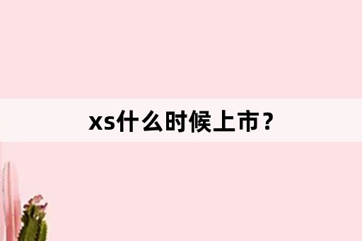 xs什么时候上市？