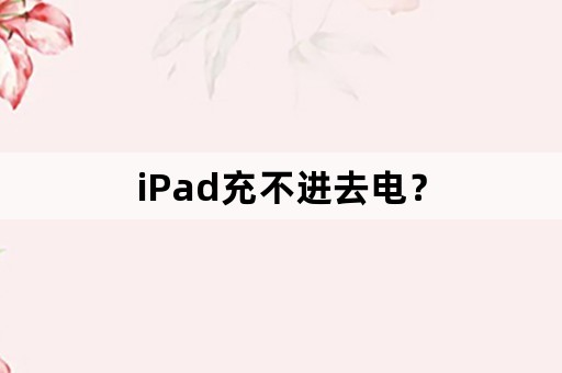 iPad充不进去电？