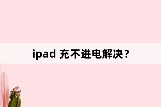 ipad 充不进电解决？