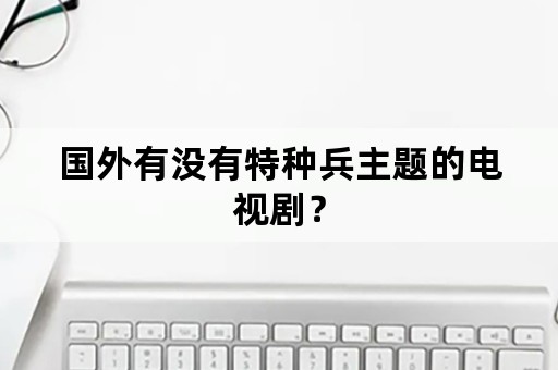 国外有没有特种兵主题的电视剧？