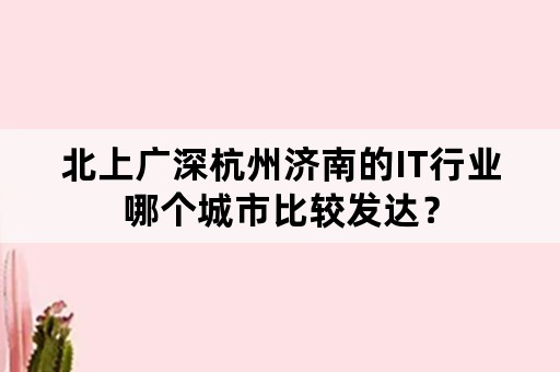 北上广深杭州济南的IT行业哪个城市比较发达？