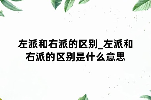 左派和右派的区别_左派和右派的区别是什么意思