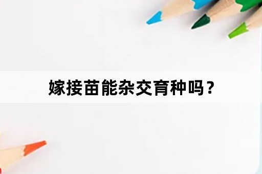 嫁接苗能杂交育种吗？