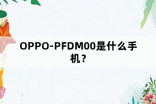 OPPO-PFDM00是什么手机？