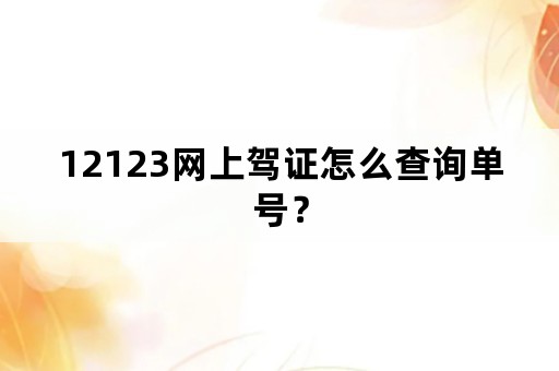 12123网上驾证怎么查询单号？