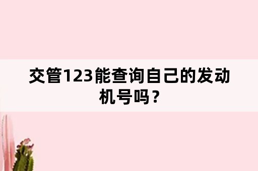 交管123能查询自己的发动机号吗？