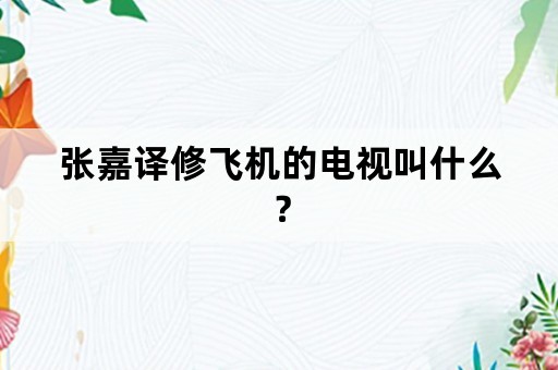 张嘉译修飞机的电视叫什么？