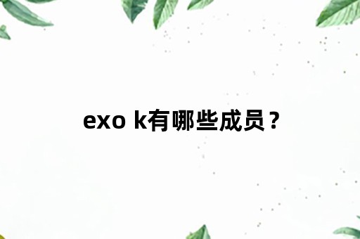 exo k有哪些成员？