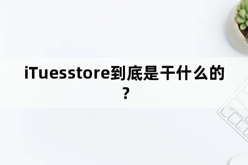 iTuesstore到底是干什么的？