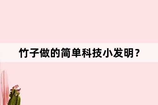 竹子做的简单科技小发明？