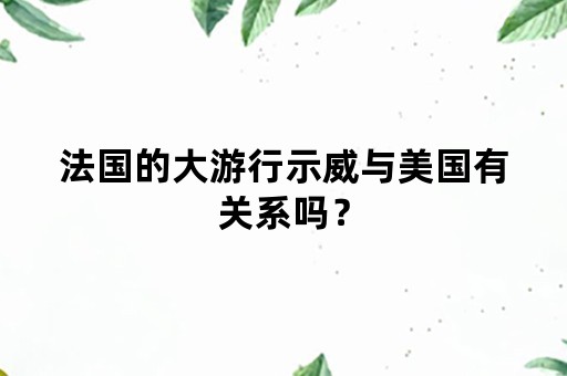 法国的大游行示威与美国有关系吗？