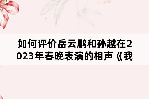 如何评价岳云鹏和孙越在2023年春晚表演的相声《我的变、变、变》？