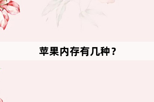 苹果内存有几种？