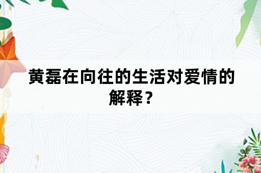 黄磊在向往的生活对爱情的解释？