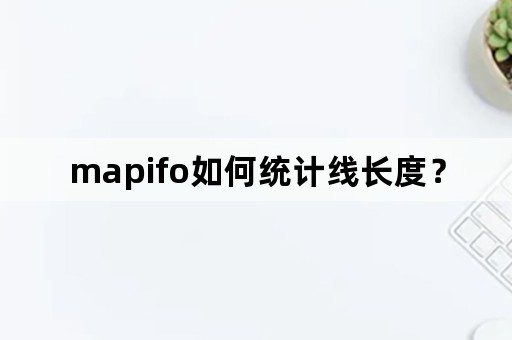 mapifo如何统计线长度？