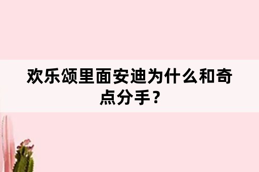 欢乐颂里面安迪为什么和奇点分手？