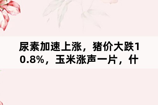 尿素加速上涨，猪价大跌10.8%，玉米涨声一片，什么情况？