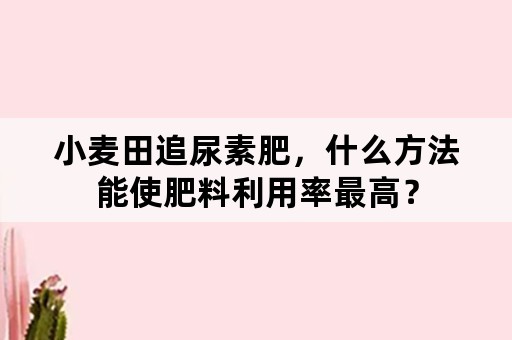 小麦田追尿素肥，什么方法能使肥料利用率最高？