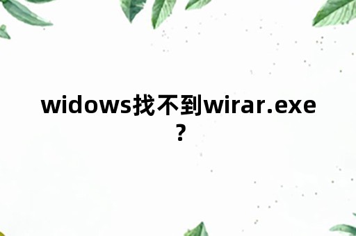 widows找不到wirar.exe？