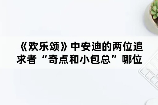 《欢乐颂》中安迪的两位追求者“奇点和小包总”哪位对安迪是真爱？