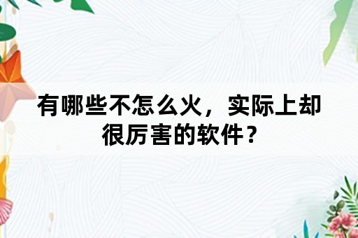 有哪些不怎么火，实际上却很厉害的软件？