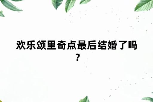 欢乐颂里奇点最后结婚了吗？